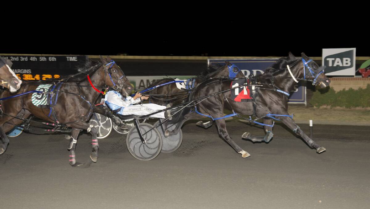 Twentyeightblack wins a race at the Young Paceway last week. Photo: Martyn Langfield 