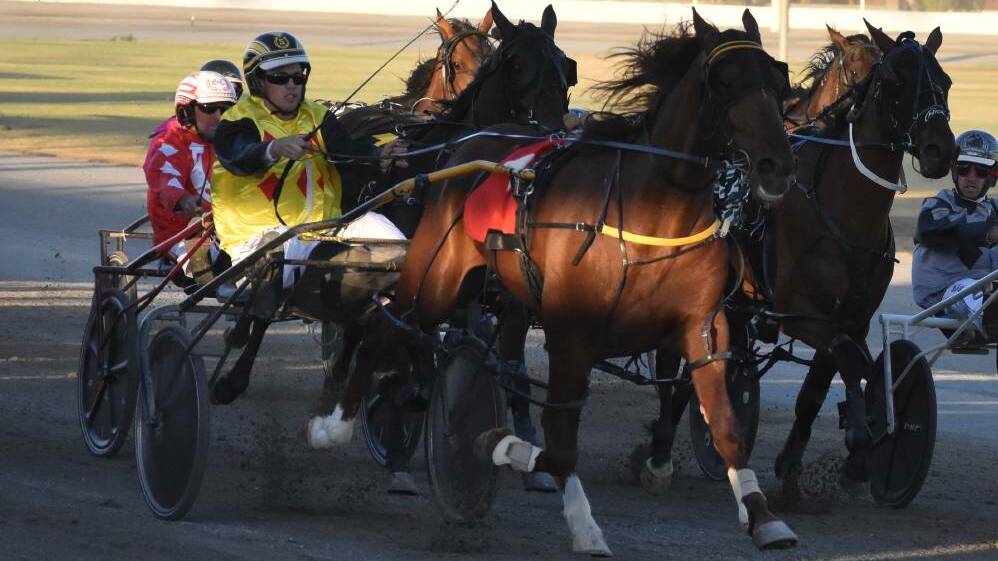 Jordan Seary drives at Leeton earlier this year. He'll drive Young trainer Josh Powderly's chance in the first tonight. Photo: file