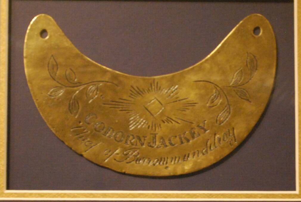 Cobborn Jacky Breast Plate. Photo: contributed 