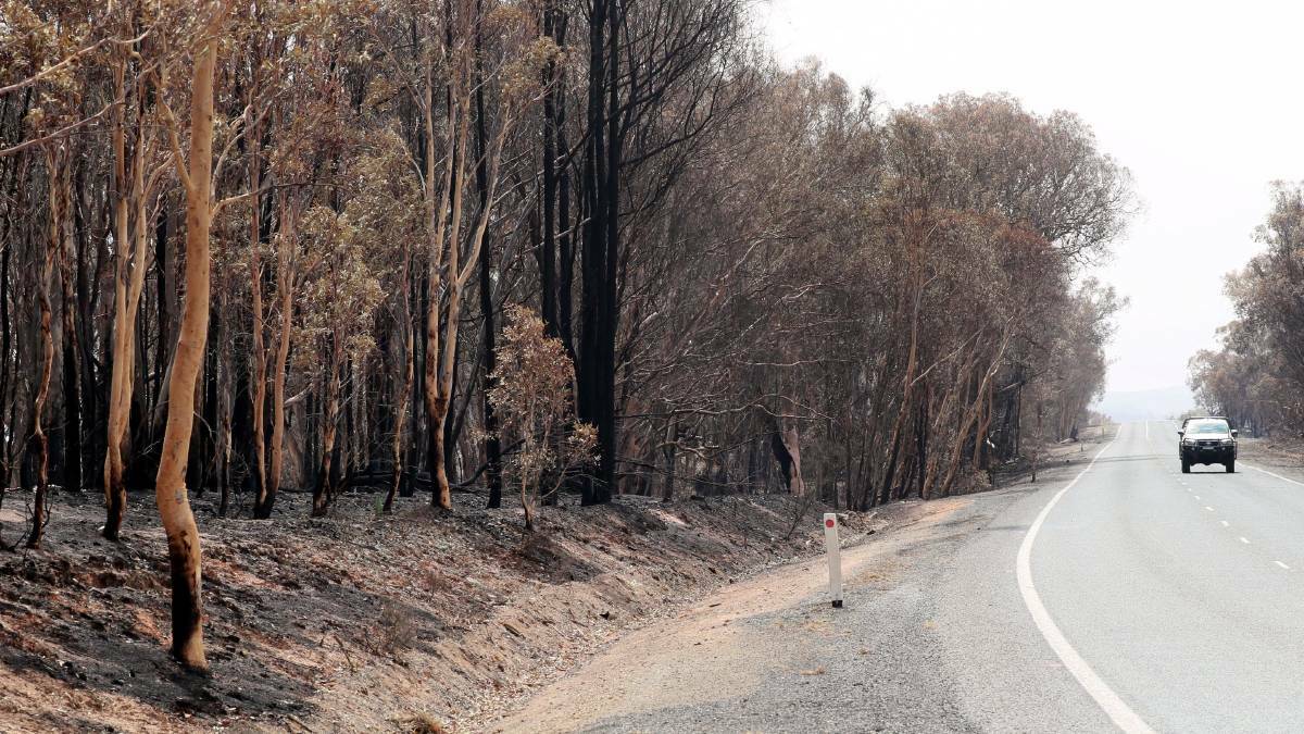 Fire damage along the Snowy Mountains Highway heading to Adelong at the Ellerslie Road turn-off. Photo: Les Smith