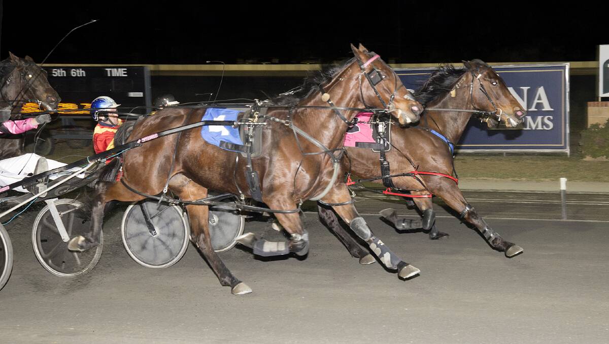 Mah Koo Loo Queen ($2.70) wins with a narrow 1/2 head win over I'll Be A Lady. Photo: Martyn Langfield