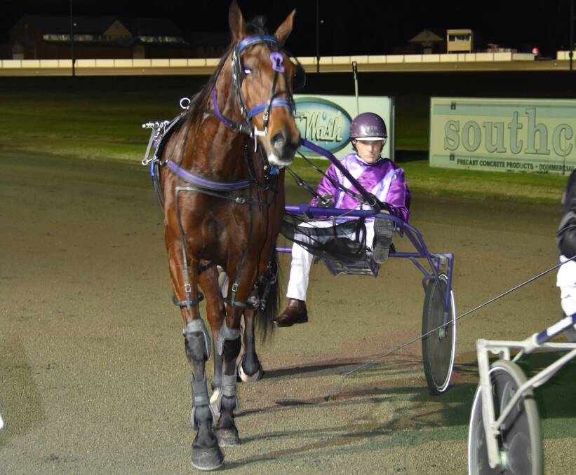 Grenfell pacer Sporty Mickilla, picutred after winning at Young on June 29, is out for two wins in a row at the Young Paceway on Tuesday night. Photo: Peter Guthrie