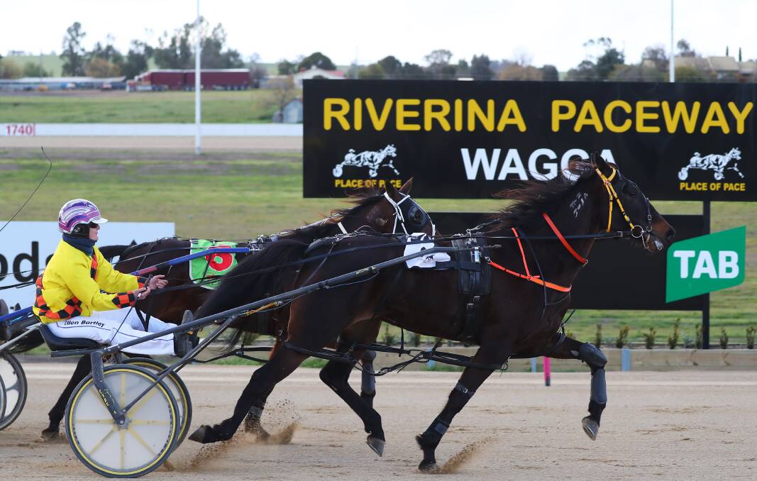 Uroc Baby wins at Riverina Paceway earlier in her career. She'll be in action for Young trainer Rick Burnett in race one on Tuesday night at Young. Photo: file