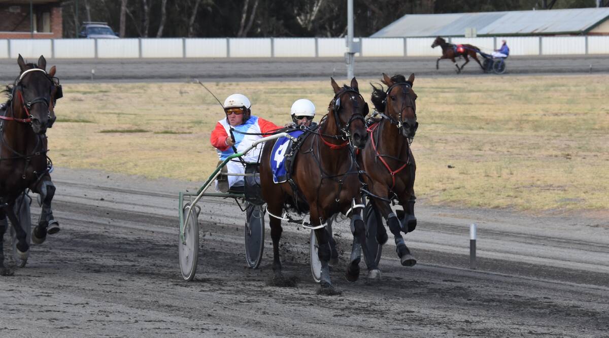 Play Up A Storm (blue silks), trained and driven by Young's John Vautin, wins the Southwest Tractors Young Pace (2100m) at the Paceway on Tuesday night. Photo: Peter Guthrie