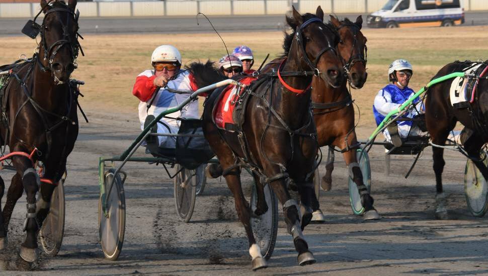 Bold Western wins for local trainer John Vautin at Young Paceway at a previous start. Photo: file