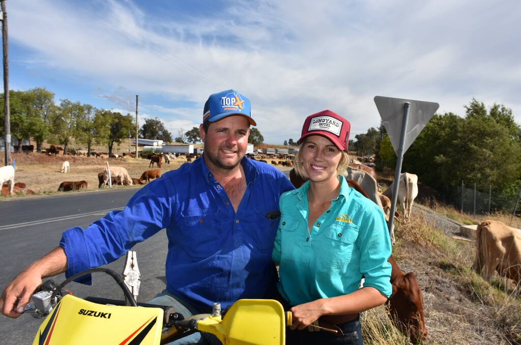 Luke Morris and Nikita Hayes, from Alice Springs, had been on the road since Boxing Day, 2019 when they passed through Young early last year with 600 head of cattle.