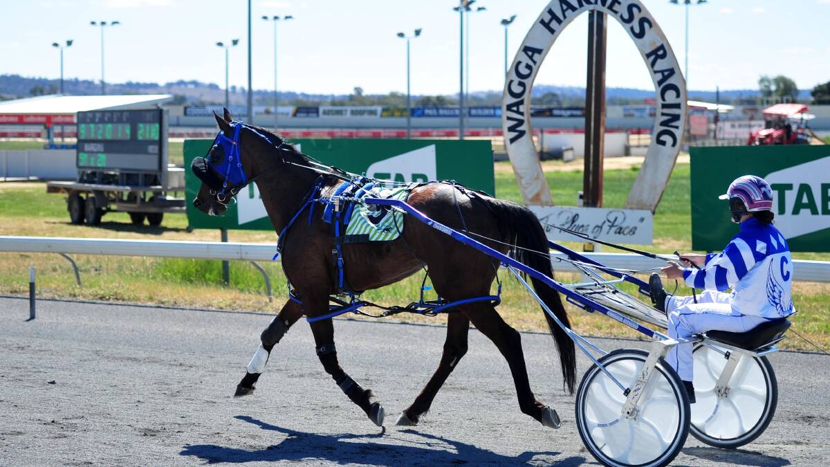Ellen Bartley returns after guiding Ellen Louise to victory at Wagga on Friday. Picture: Chelsea Sutton