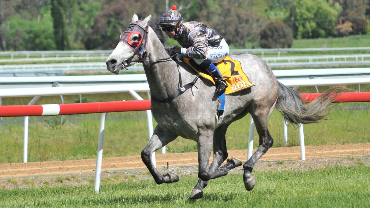 Grey gelding Attilius, based at Bathurst and trained by Paul Theobald, is a major chance in the Burrangong Picnic Cup.