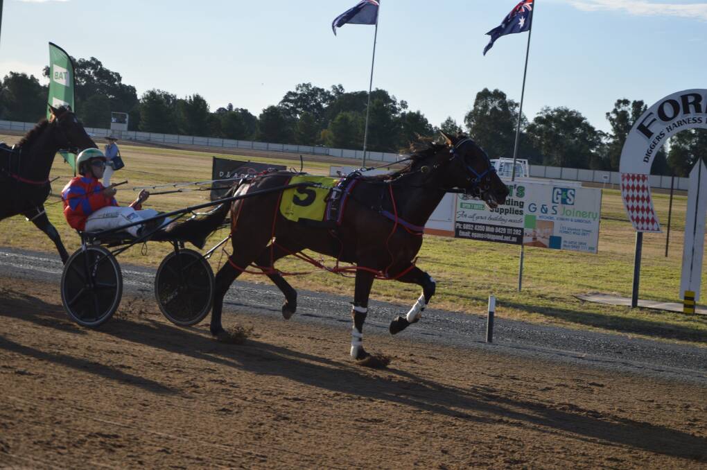 Blake Micallef drives the Steve Turnbull-trained Mach Daddy to victory in the Forbes Diggers Harness Racing Club Final on Sunday. Photo: Kristy Williams 