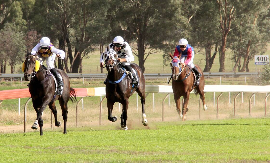 Action from last year's Cootamundra Picnic Race meeting. This year's would have been the 113th edition of the races. Photo: Kelly Manwaring