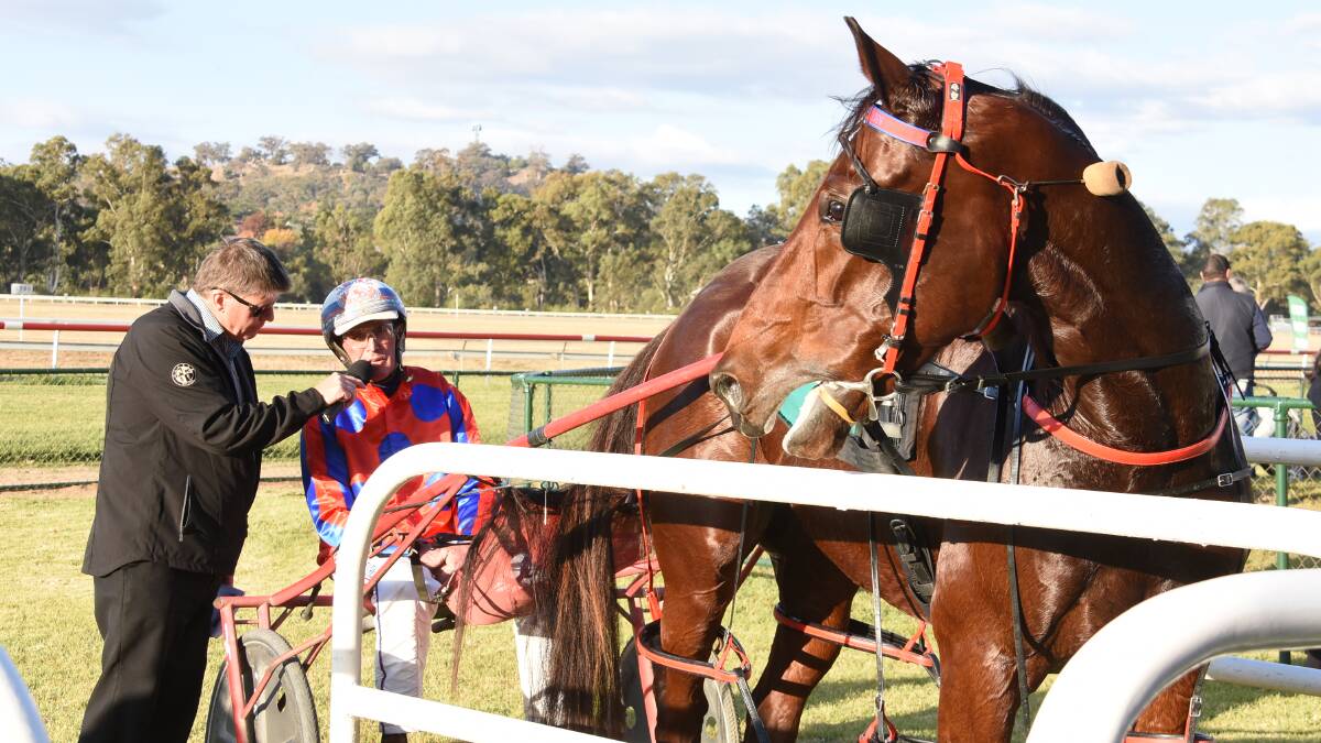 Steve Turnbull and Conviction, pictured after winning the 2018 Cowra Cup, looks one of the ones to beat in Saturday's $30,000 Group 3 Young Pacers Cup.