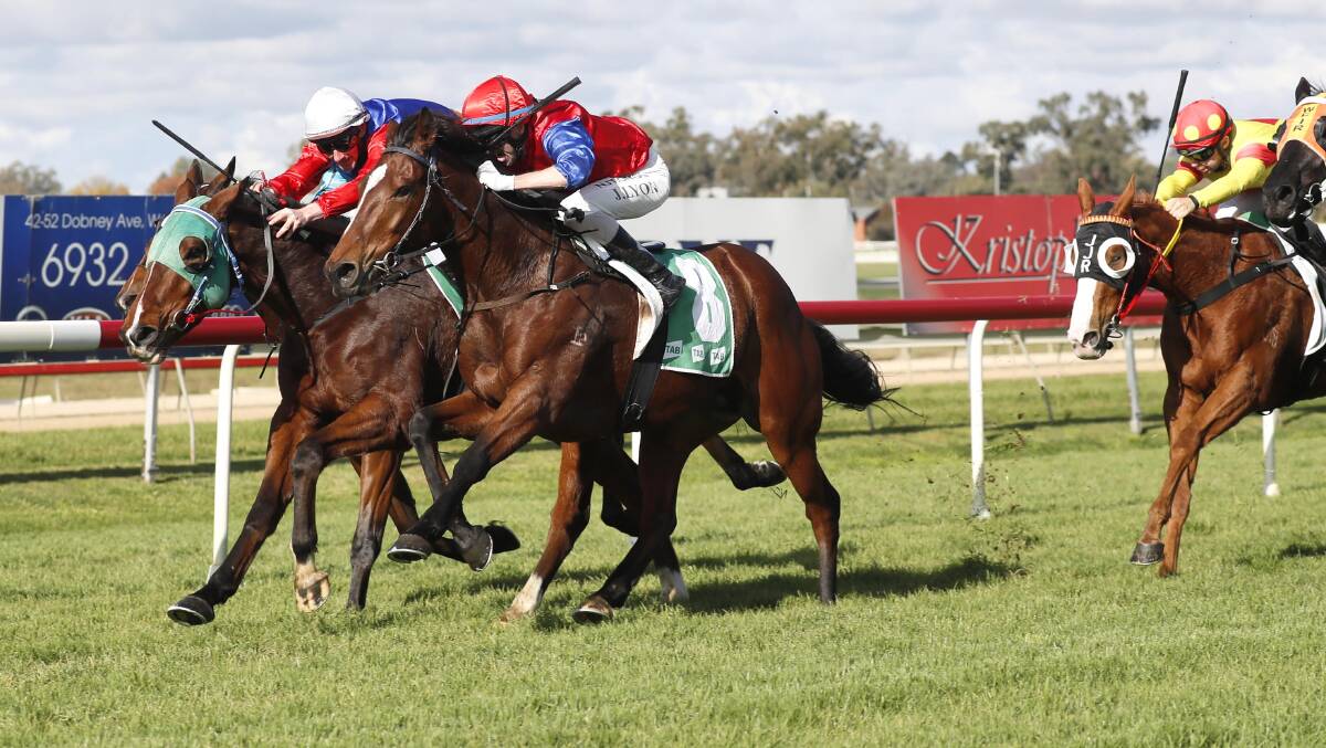 CLOSE CALL: Blazing Zone edges out Crazing Dawn during a race at the Murrumbidgee Turf Club in Wagga last month. Picture: Les Smith