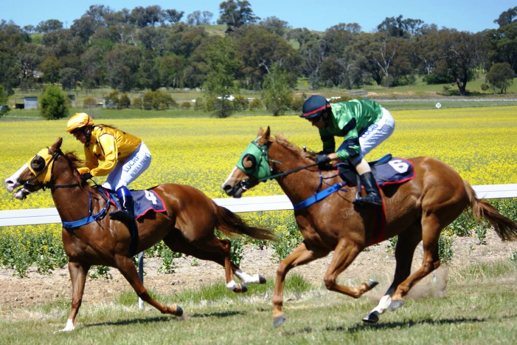 Horses for courses: The Burrangong Picnic Races are expecting a bumper crowd for this years meeting, with plenty of action both on and off the track. Photo: File.