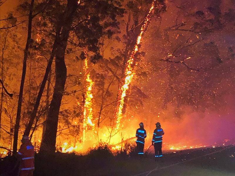 A fire on the NSW south coast has burnt through more than 11,560 hectares and is spreading quickly.