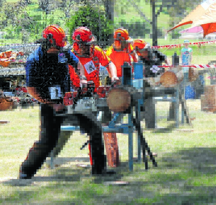 Chainsaw safety is important. Young TAFE can run the course, they only need eight people to enrol.