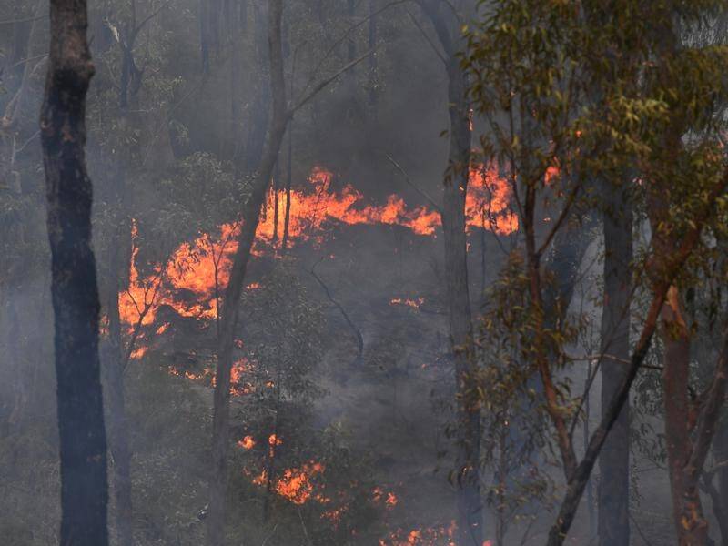 The number of properties damaged or destroyed by bushfires raging across NSW is set to rise
