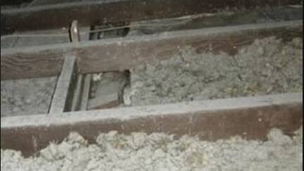 Homeowners urged to test for loose-fill asbestos