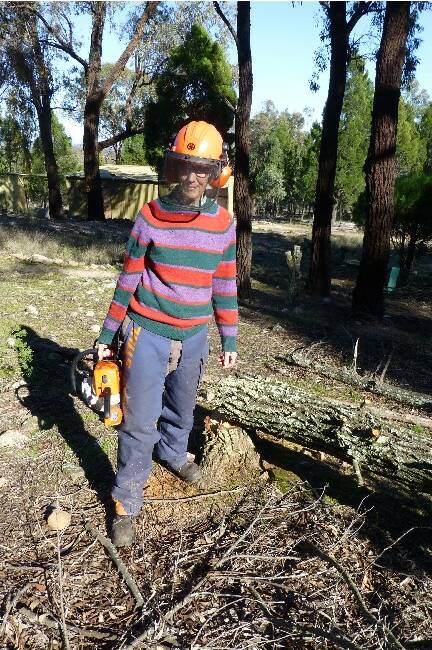 POSITIVE: Murringo farmer Barbara Holloway’s bush regeneration work has earned her recognition and a grant from the Private Land Conservation grants program.