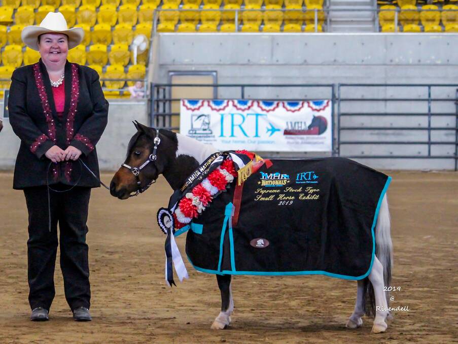 SHOW TIME: Volunteer Kayleen Badman and her horse Badlands Rhythm N Blues at this year's Independent Miniature Horse show in Tamworth. Photo: RIVENDELL PHOTOGRAPHY