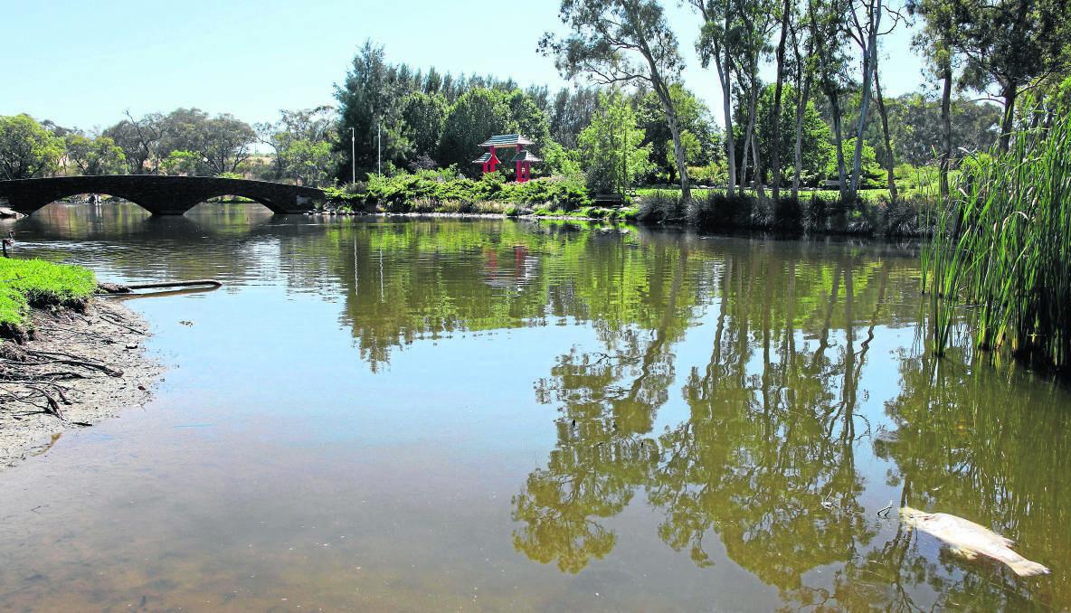 DOWN A NOTCH: The warm weather has seen the water level around the Chinese Tribute Gardens and Chinaman’s Dam decline (left), affecting life below more than above the water (right).