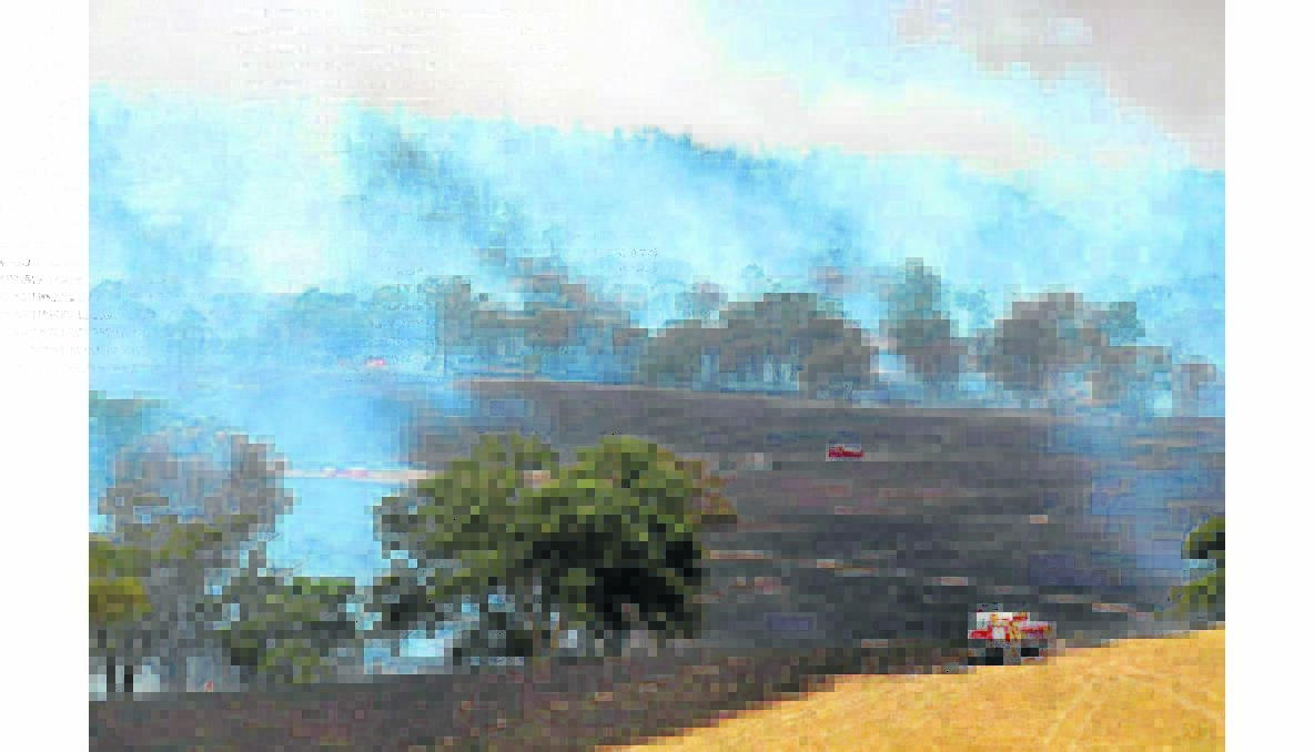 HOT: The highest temperature to hit Young last summer was 42.6 degrees, recorded by the BOM at Young’s airport on January 18 – the same day the 1600 hectare Watershed Stud fire started in Moppity Road.