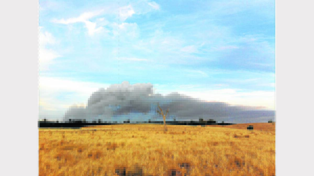 GRASS FIRE: The grass fire, which is close to containment, has claimed the life of 500 sheep and consumed over 3400 hectares across the Young and Boorowa Shires.